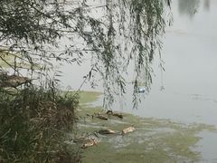 -野三坡清泉山风景区