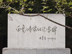 -白水寺森林公园