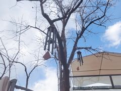 -素心小筑(后沙裕镇店)