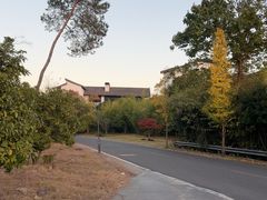 -千岛湖安岚·湖景全日餐厅