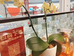 -小户人家(循礼门南国中心店)