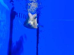 -多彩贵州城极地海洋世界