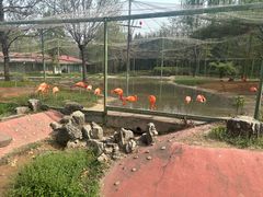 -石家庄市动物园