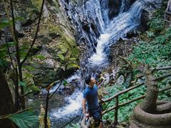 -莫里热带雨林景区