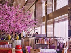 -金轩中餐厅 Jin Xuan(浦东丽思卡尔顿酒店)