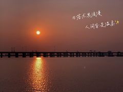 -宝安西湾红树林湿地公园