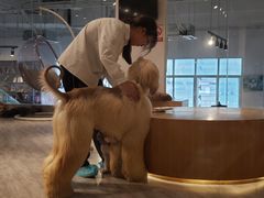 -赢吧Bliss音乐酒吧