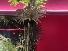 -沪小胖·小龙虾·蓝龙王(八佰伴店)