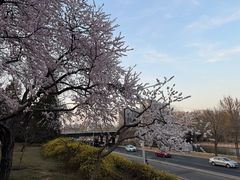 -玲珑塔公园
