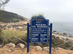 -广东惠东海龟国家级自然保护区