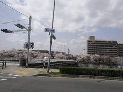 -NIKE(Osaka)
