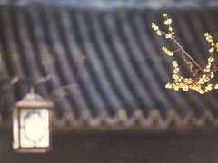 -我嘉书房(南翔名士居店)