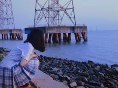 -宝安西湾红树林湿地公园