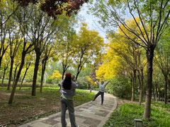 -东疆建设开发纪念公园