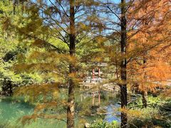 -马峦山郊野公园