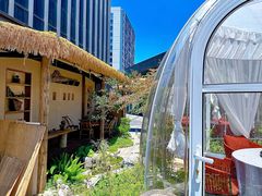 -炊江南·上海菜(国展华漕店)