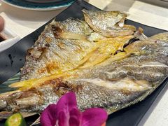 -采御鲜·回转寿司(汕头万达店)