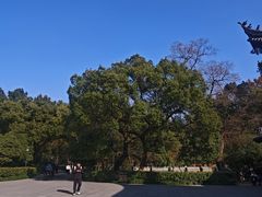 -阿育王寺素斋馆