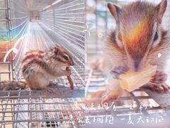 -北戴河集发农业梦想王国