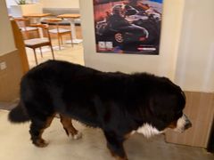 -小意思咖啡店(草桥店)