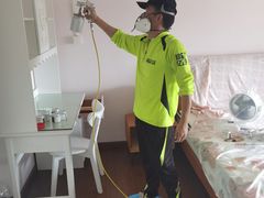 -绿色亿家除甲醛机构