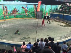 -五龙山野生动物王国