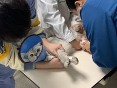 -谐和贝康宠物医院24小时·宠保定点(急重症转诊中心)