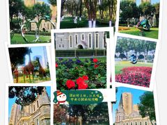 -重庆市江北嘴中央商务区中央公园