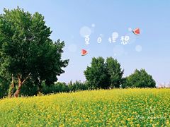 -长白岛森林公园