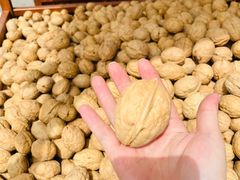 -新疆国际大巴扎