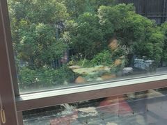 -新天世纪中餐厅