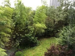 -金芙美月子中心(财富别墅店)