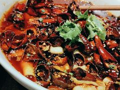 -铁公鸡·四川料理(天环广场店)