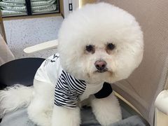 -瑞派康怡24h宠物医院·犬猫医疗中心·微创绝育(瑞景分院)