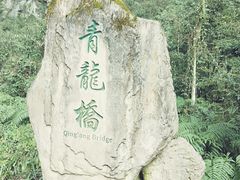 -天坑地缝国家地质公园-停车场