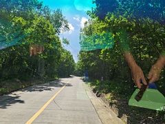 -茅兰沟国家森林公园
