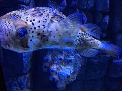 -成都浩海立方海洋公园