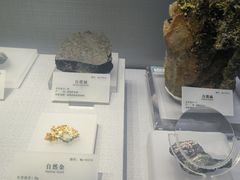 -湖南省地质博物馆