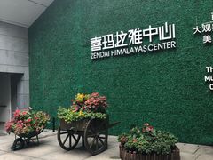 -证大喜玛拉雅中心