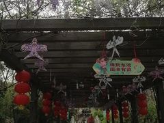 -白马涧龙池景区