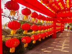 -中国翰园碑林