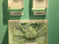 -大连自然博物馆