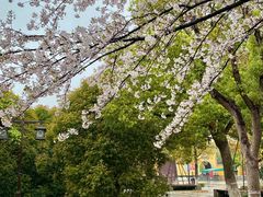 -阳澄湖半岛旅游度假区