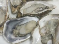 -鲍氏金勺子(恒大店)