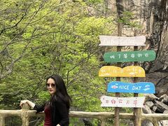 -洛阳白云山景区