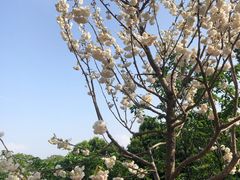 -南山植物园