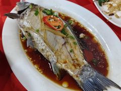 -先鲜鲫鱼粥