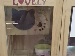 -203密室体验馆·逃脱·聚会·亲子(工体店)