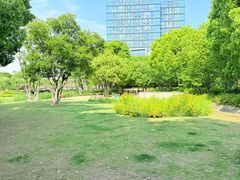-南翔镇银翔湖公园