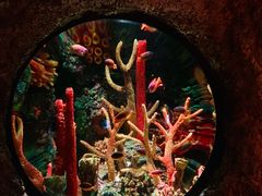 -沈阳海洋探索中心